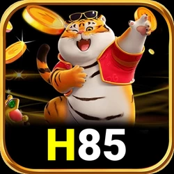 h85 - 10